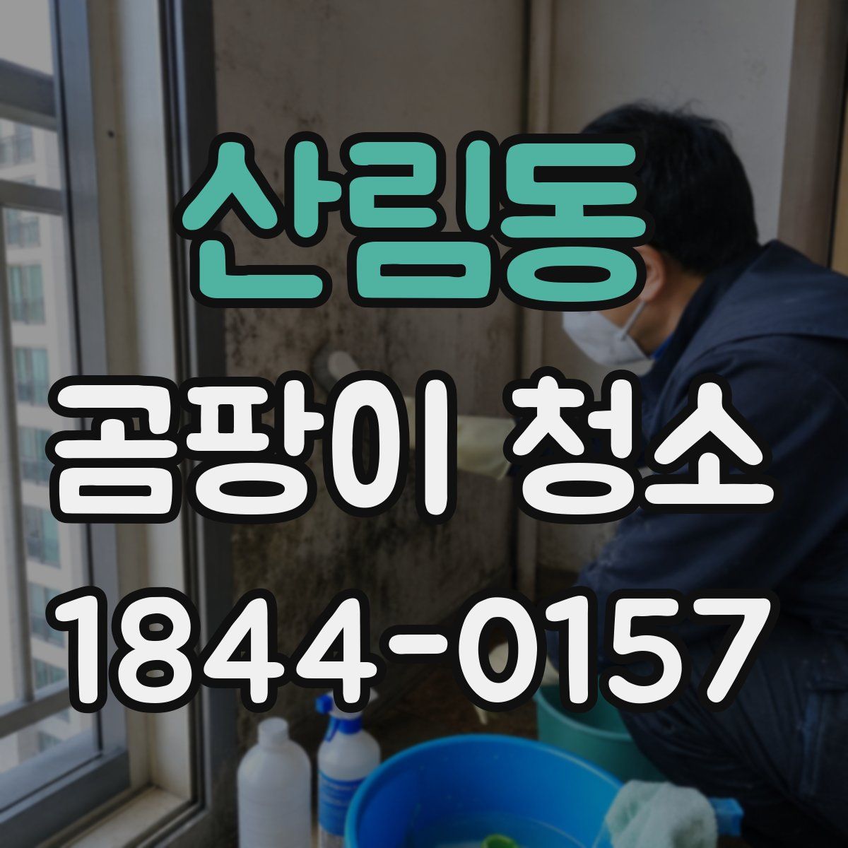 산림동 곰팡이 청소