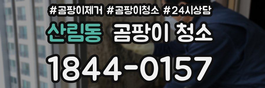 산림동 곰팡이 청소
