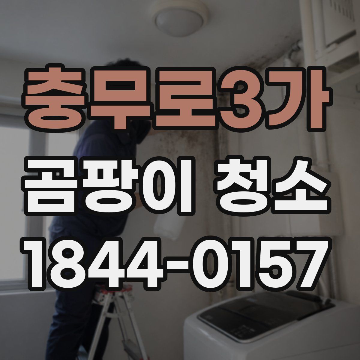 충무로3가 곰팡이 청소