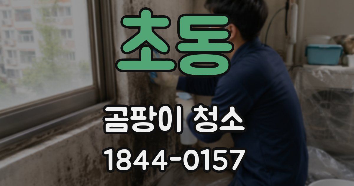 초동 곰팡이 청소