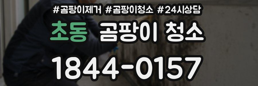 초동 곰팡이 청소