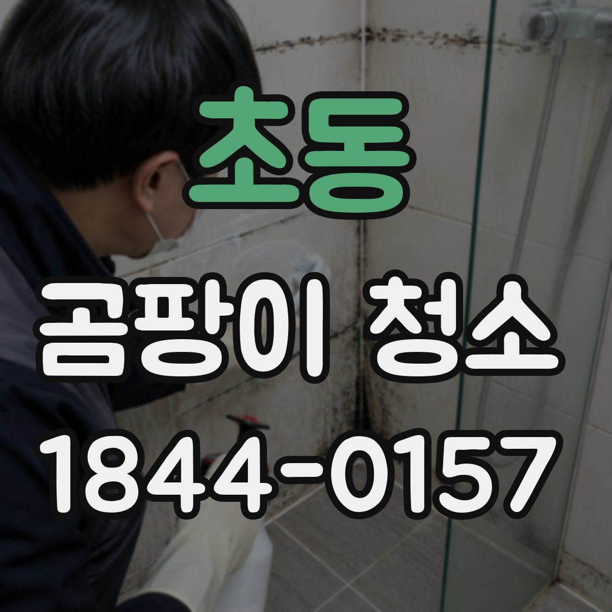 초동 곰팡이 청소