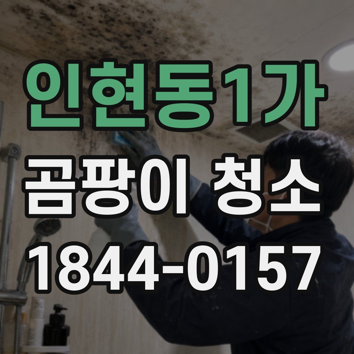 인현동1가 곰팡이 청소 세탁실 냄새가 심할 때 확인할 곳