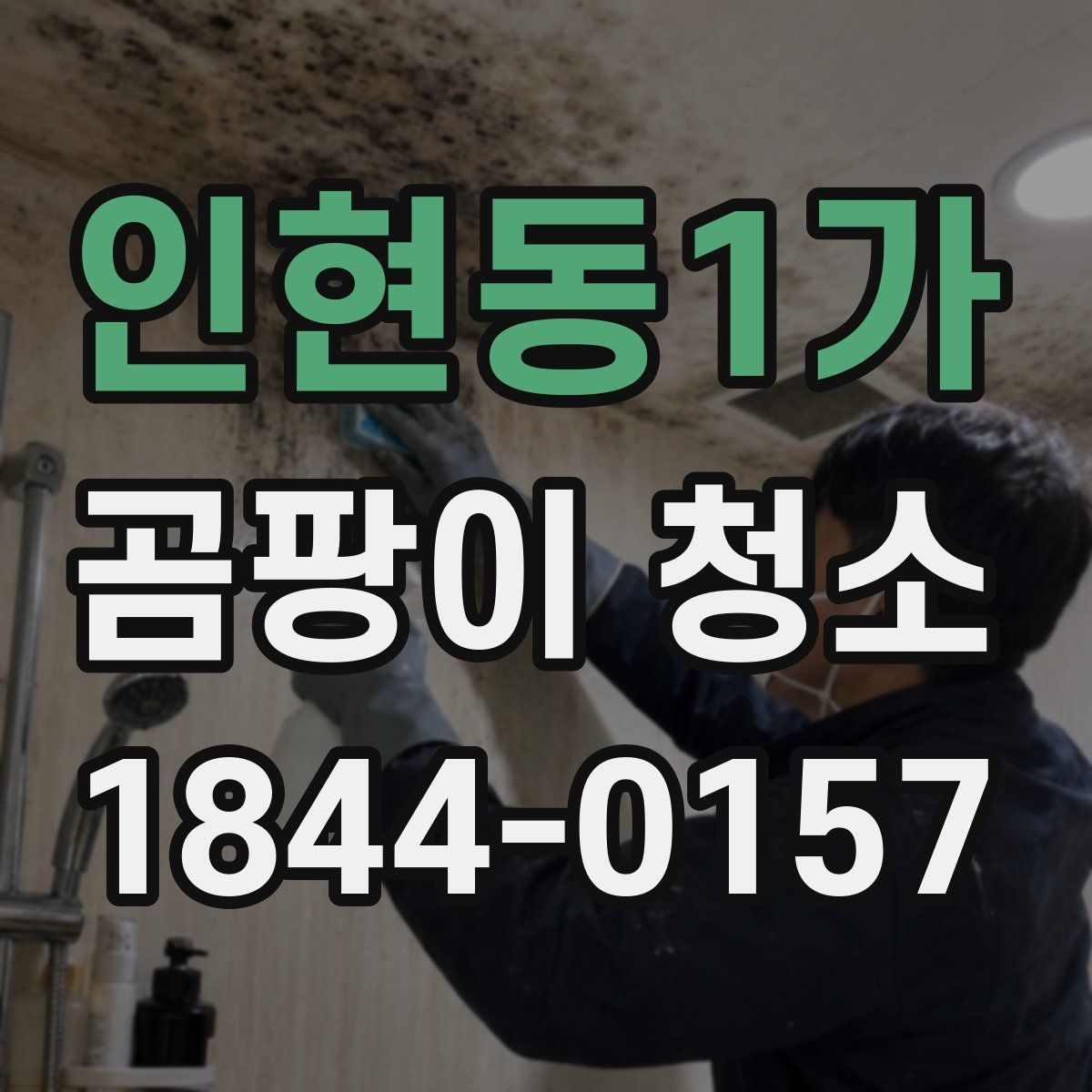 인현동1가 곰팡이 청소