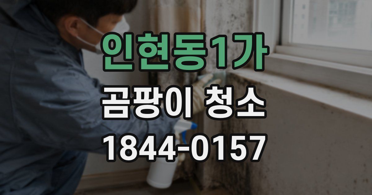 인현동1가 곰팡이 청소