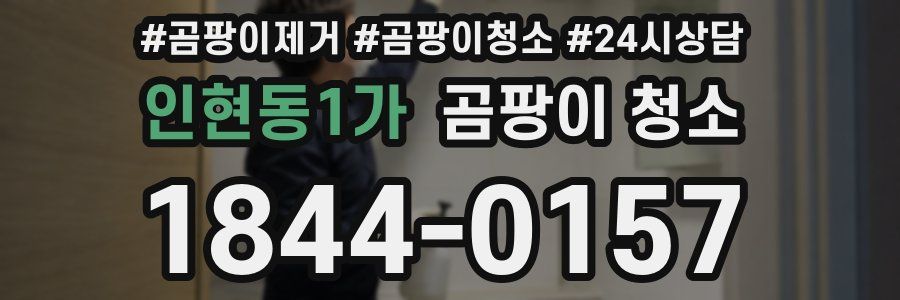 인현동1가 곰팡이 청소