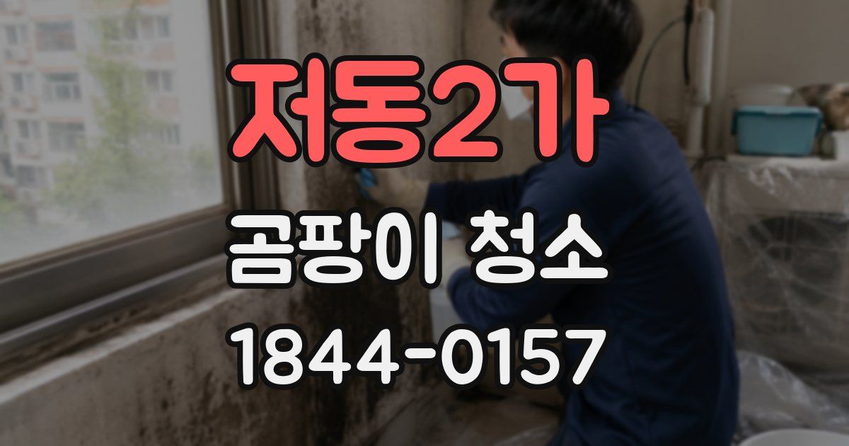 저동2가 곰팡이 청소