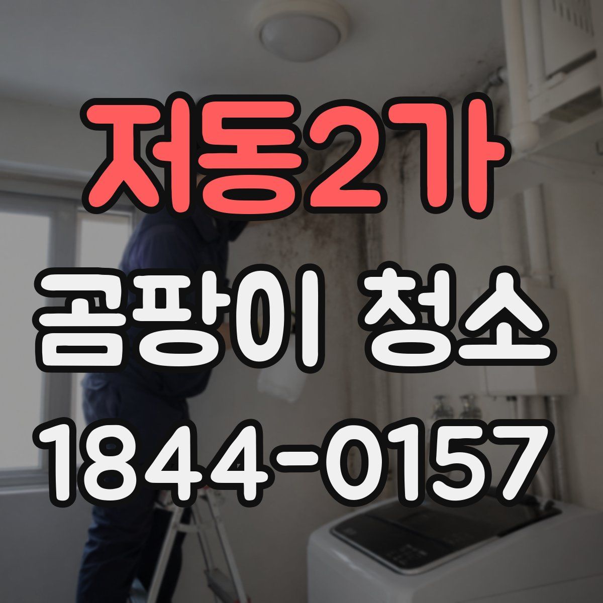 저동2가 곰팡이 청소