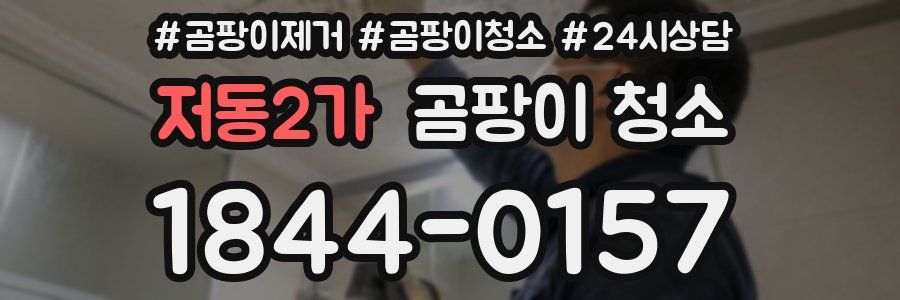 저동2가 곰팡이 청소