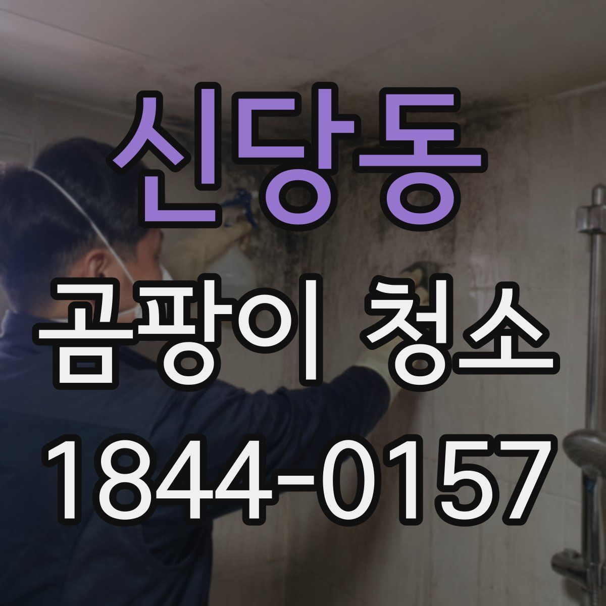 신당동 곰팡이 청소