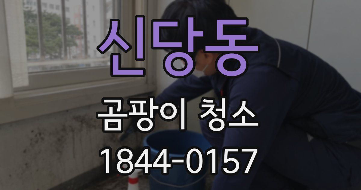 신당동 곰팡이 청소