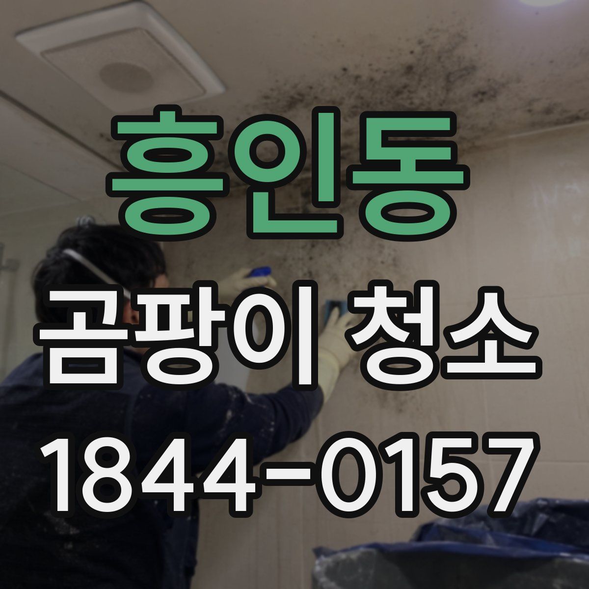 흥인동 곰팡이 청소