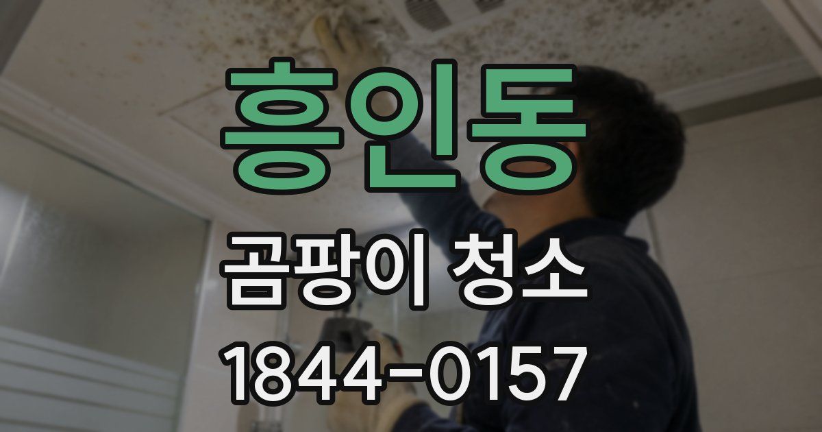 흥인동 곰팡이 청소