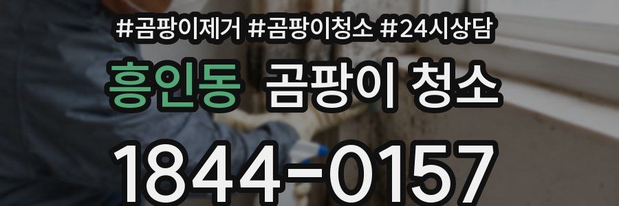 흥인동 곰팡이 청소