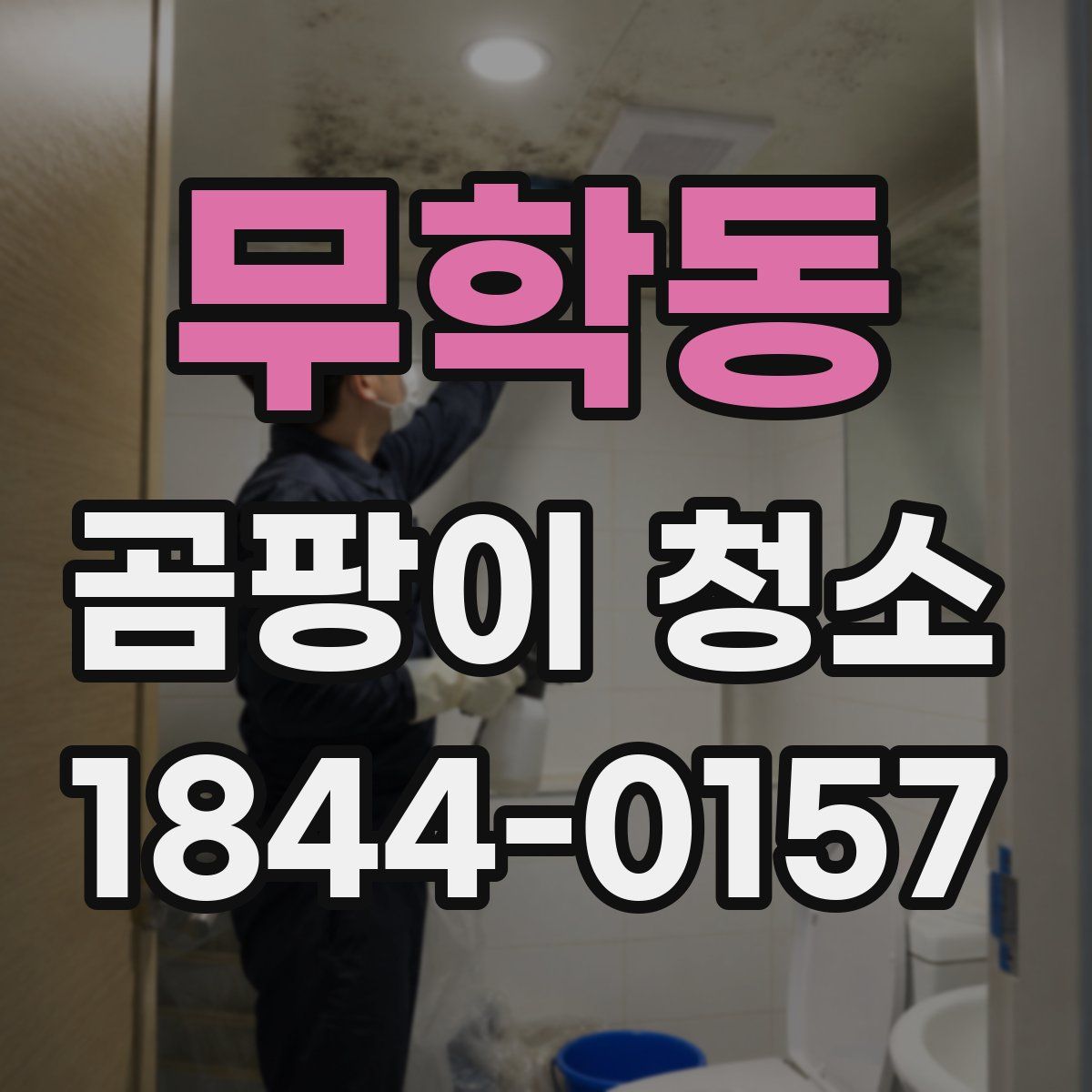 무학동 곰팡이 청소