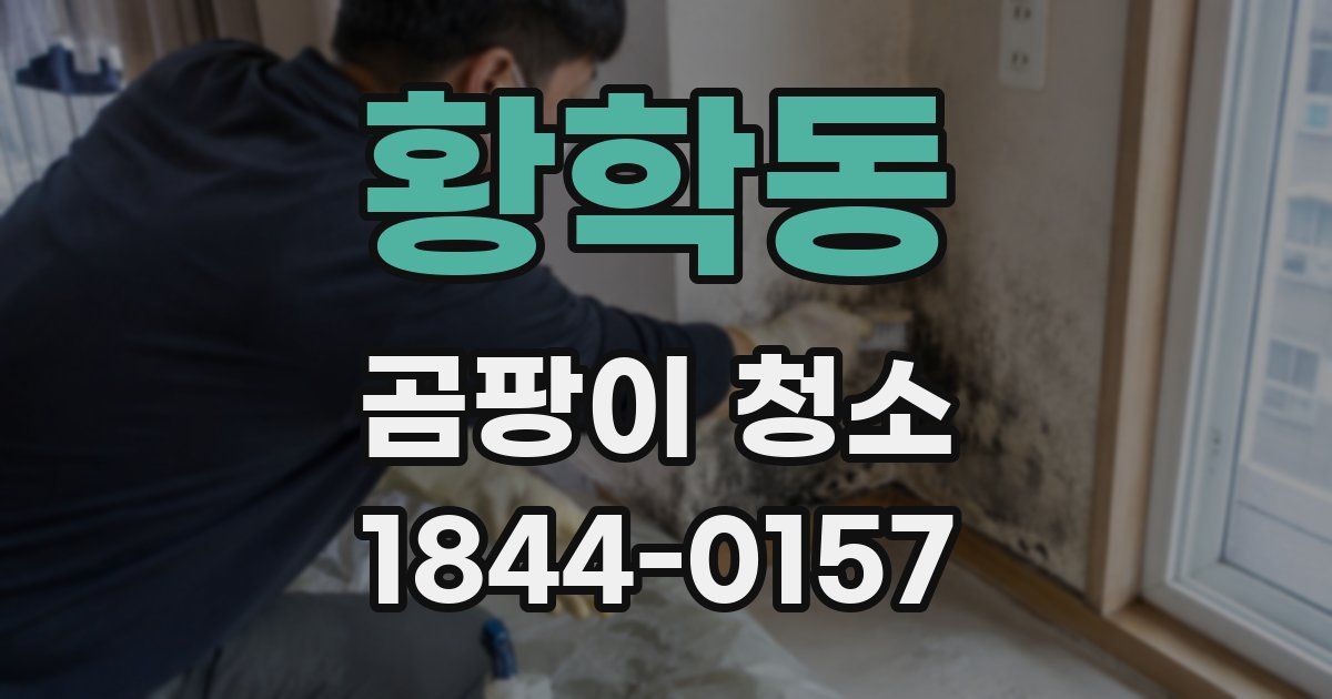 황학동 곰팡이 청소