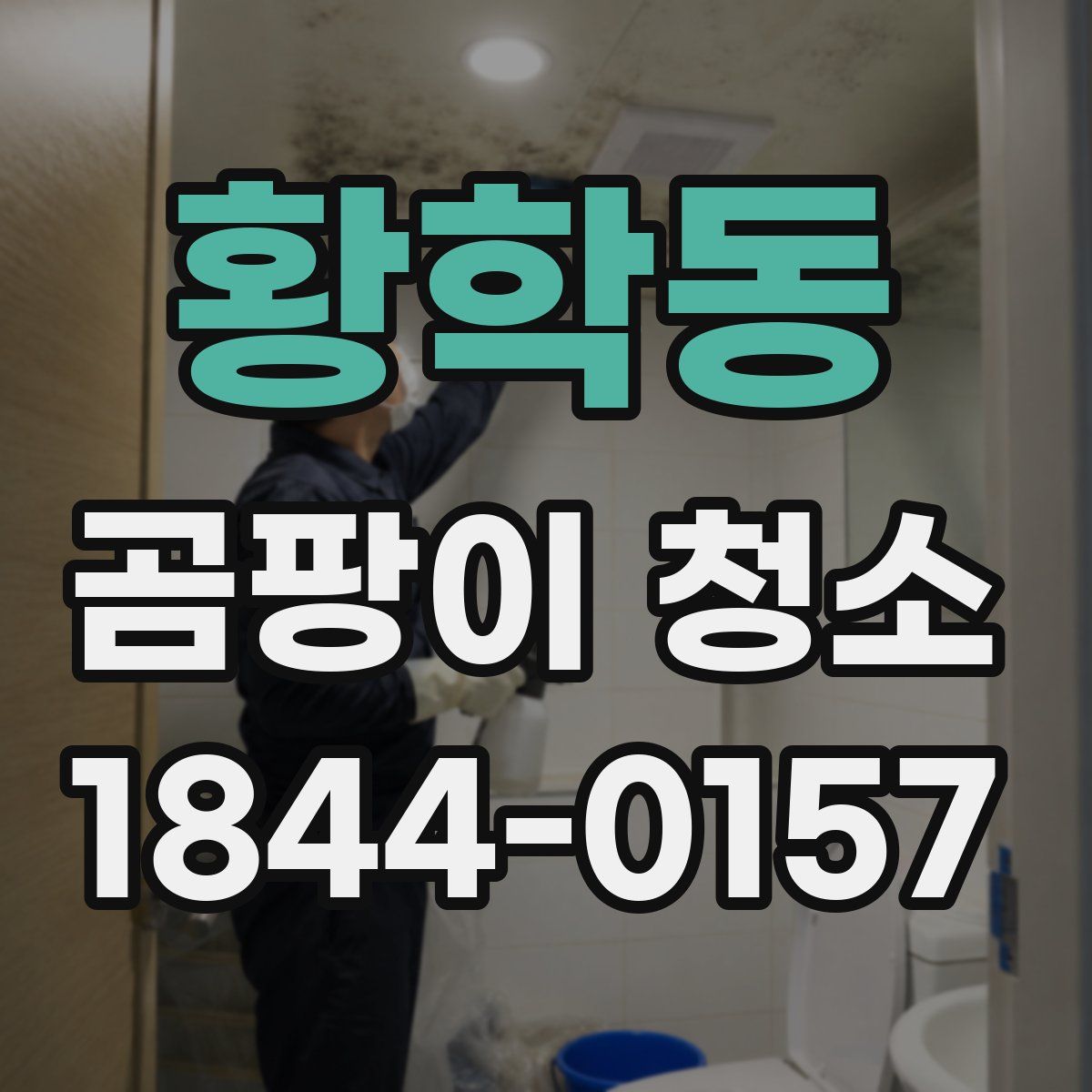 황학동 곰팡이 청소