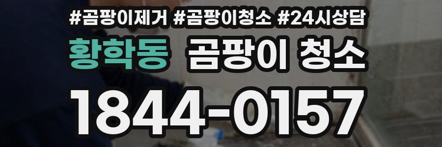 황학동 곰팡이 청소