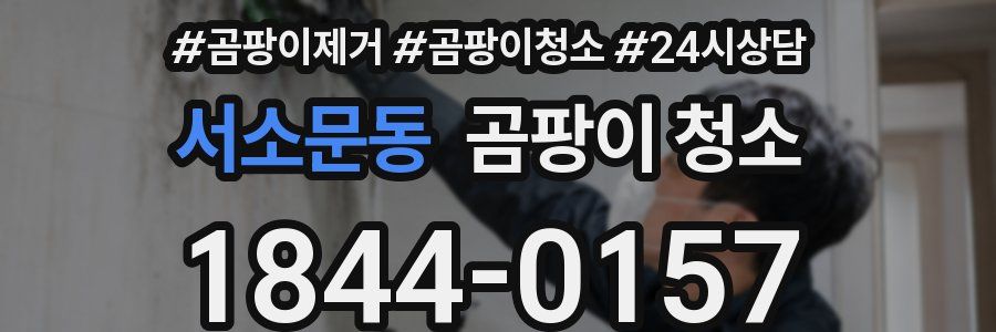 서소문동 곰팡이 청소