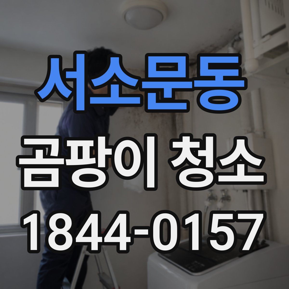 서소문동 곰팡이 청소