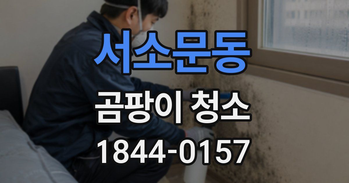 서소문동 곰팡이 청소
