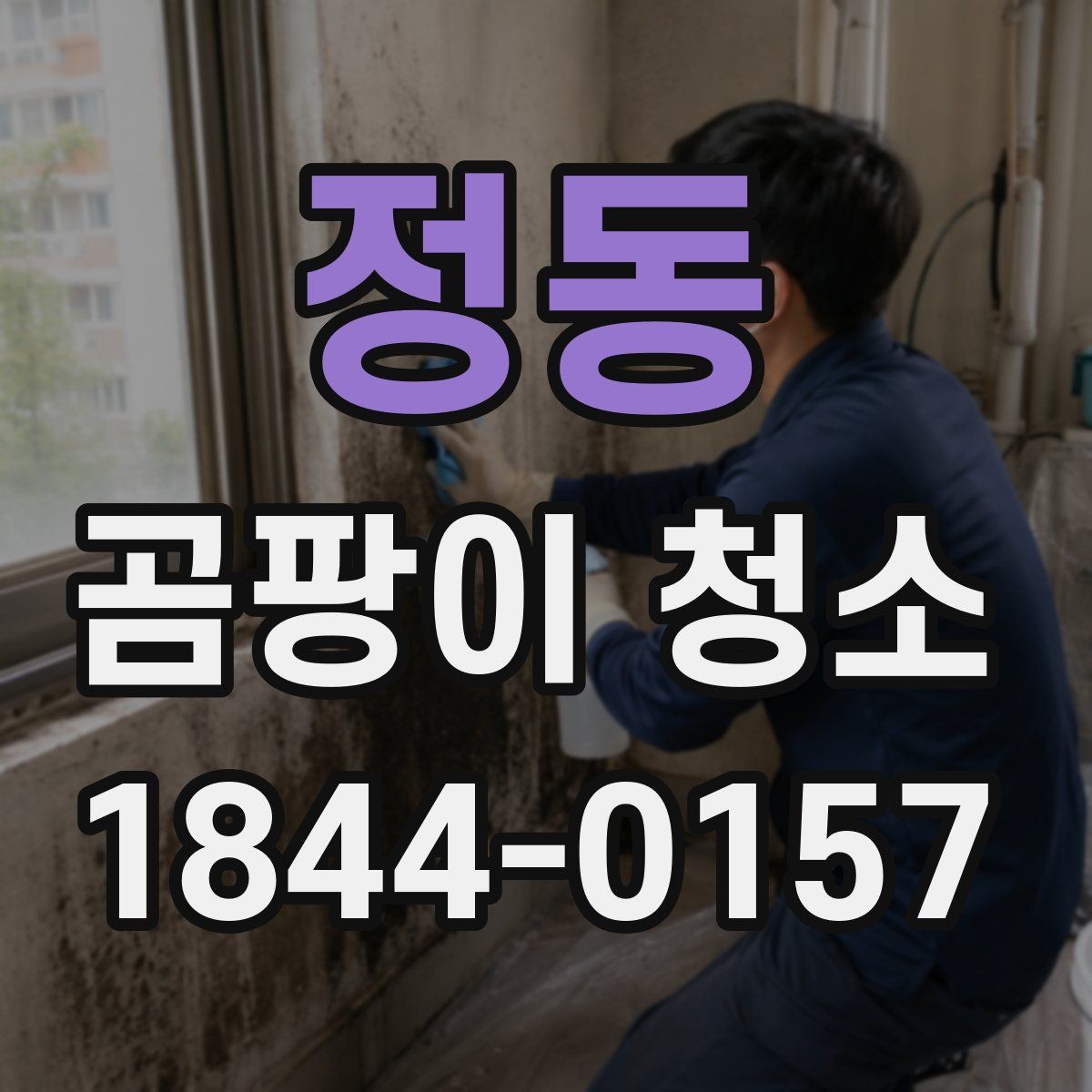 정동 곰팡이 청소 제거 전후로 실내 온습도를 맞추는 관리