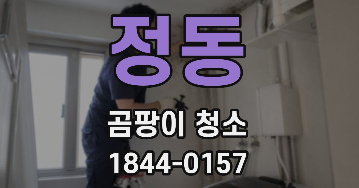 정동 곰팡이 청소