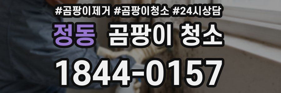 정동 곰팡이 청소