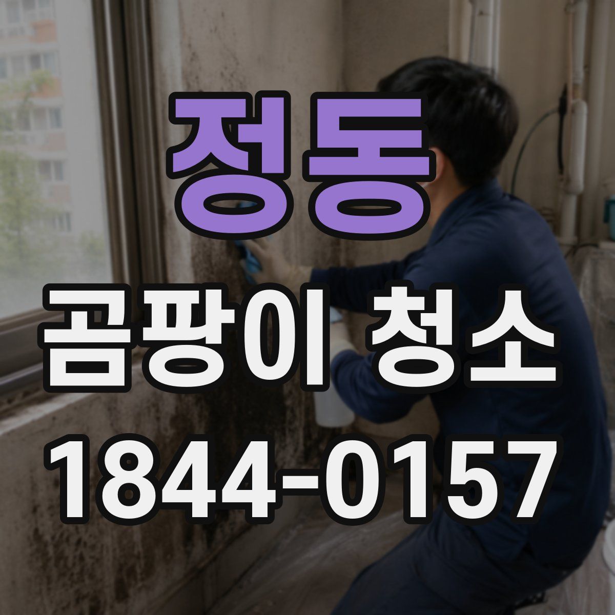 정동 곰팡이 청소