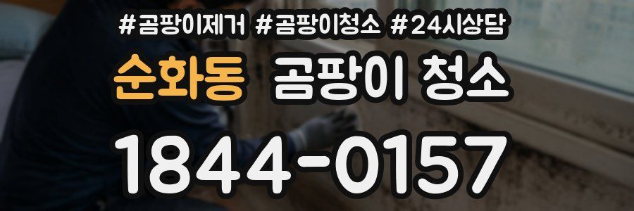 순화동 곰팡이 청소