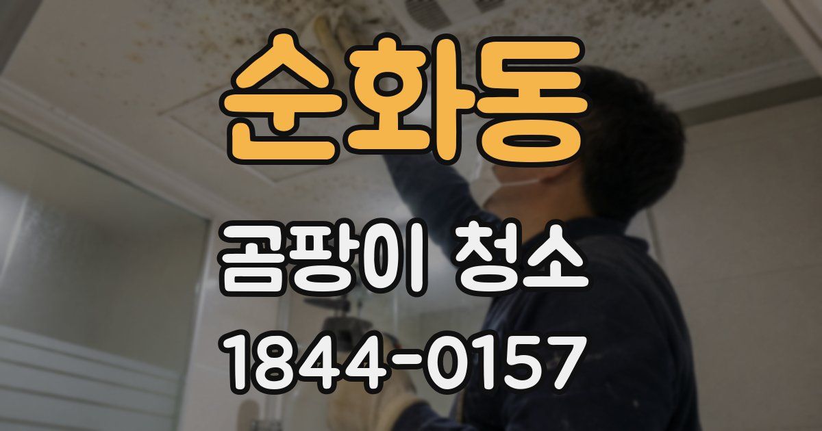 순화동 곰팡이 청소