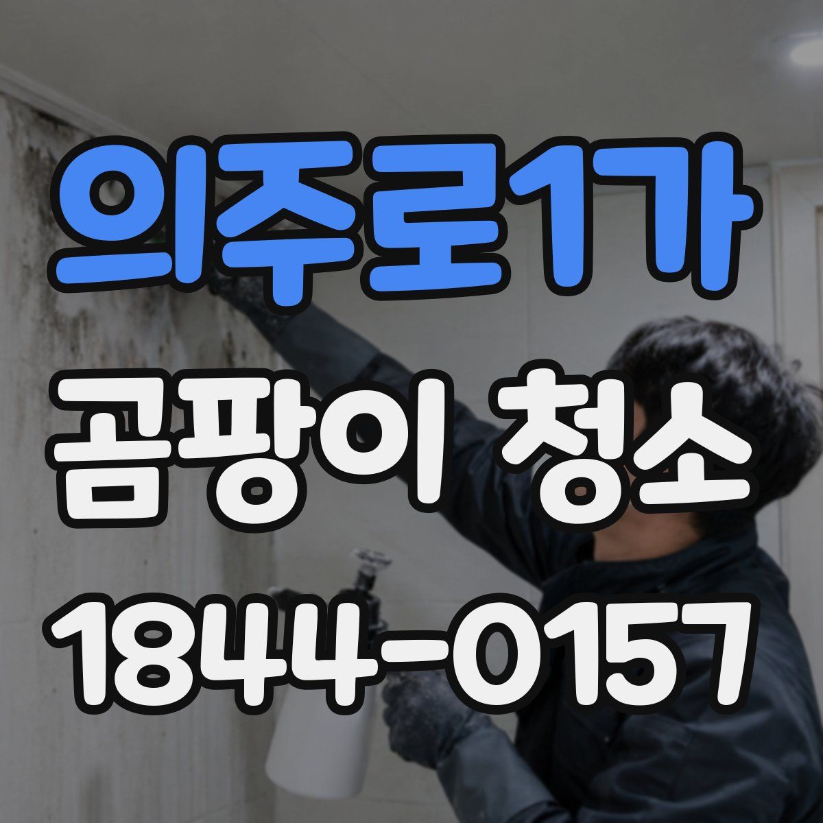 의주로1가 곰팡이 청소