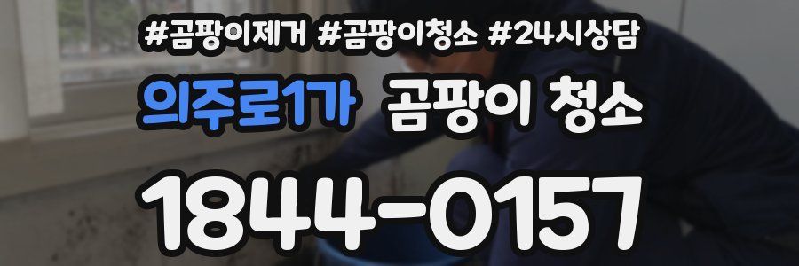 의주로1가 곰팡이 청소