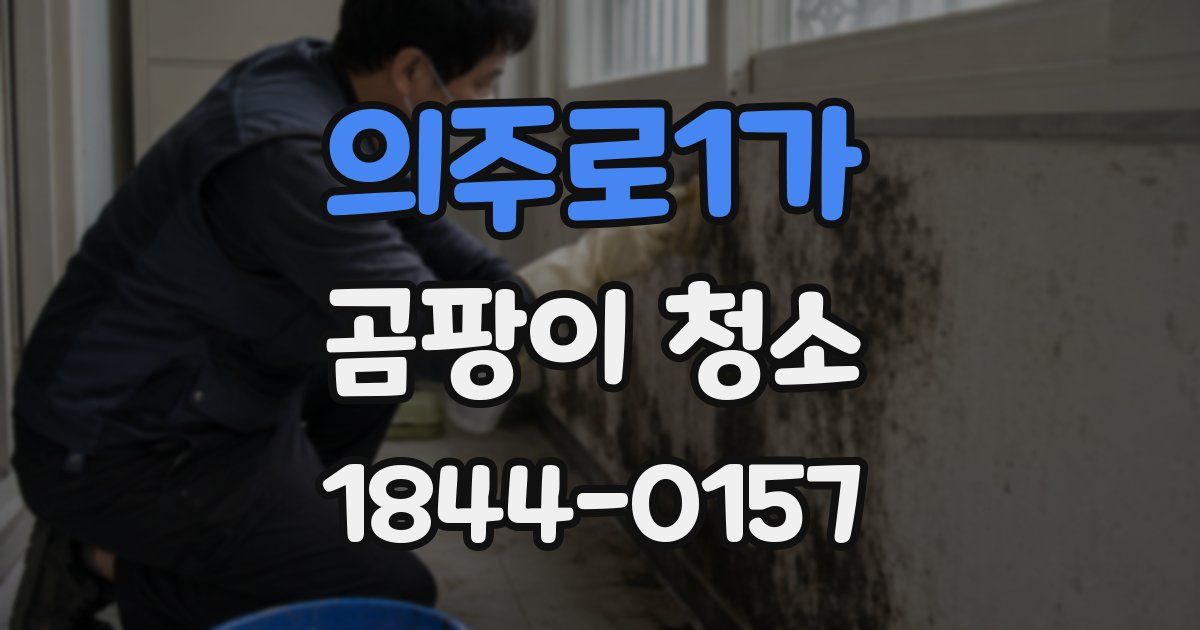 의주로1가 곰팡이 청소