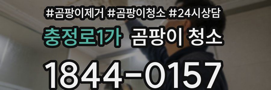충정로1가 곰팡이 청소