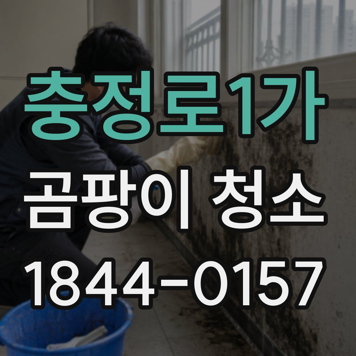 충정로1가 곰팡이 청소