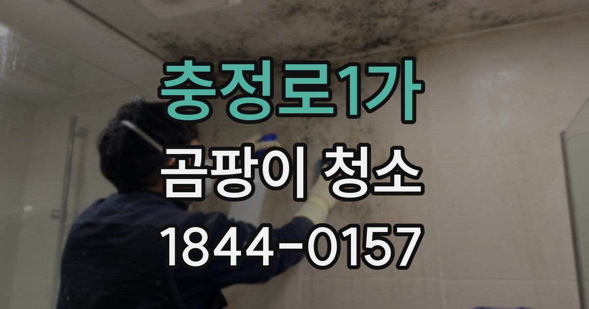 충정로1가 곰팡이 청소