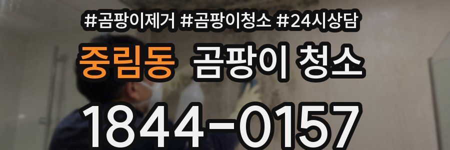 중림동 곰팡이 청소