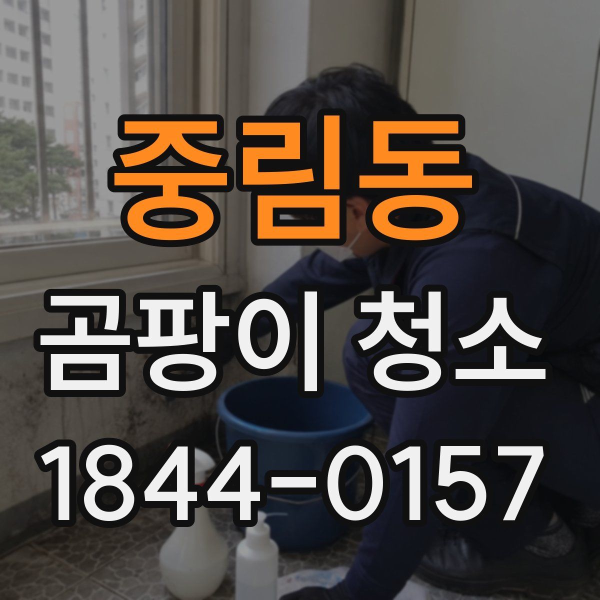 중림동 곰팡이 청소