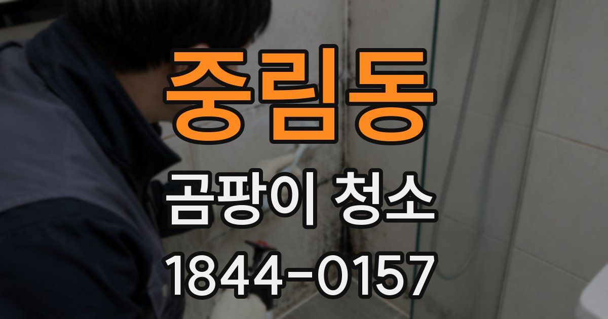 중림동 곰팡이 청소