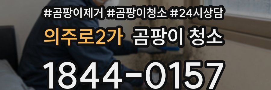 의주로2가 곰팡이 청소