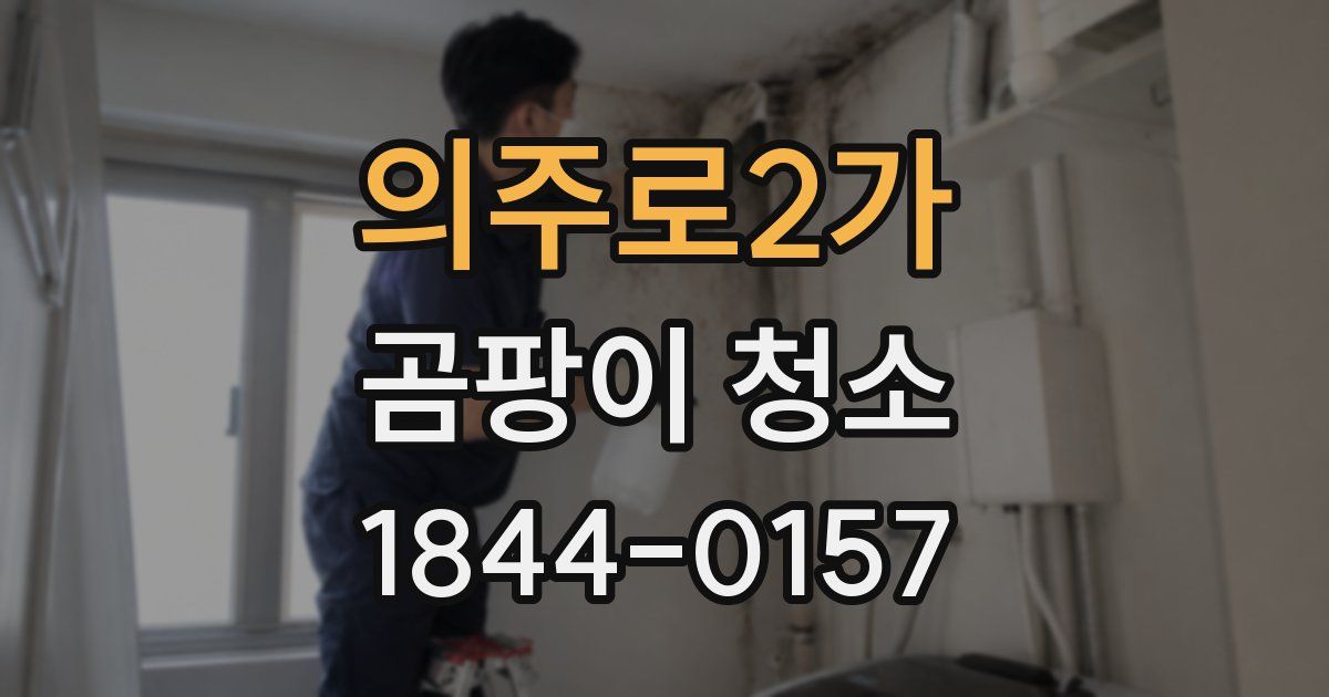 의주로2가 곰팡이 청소