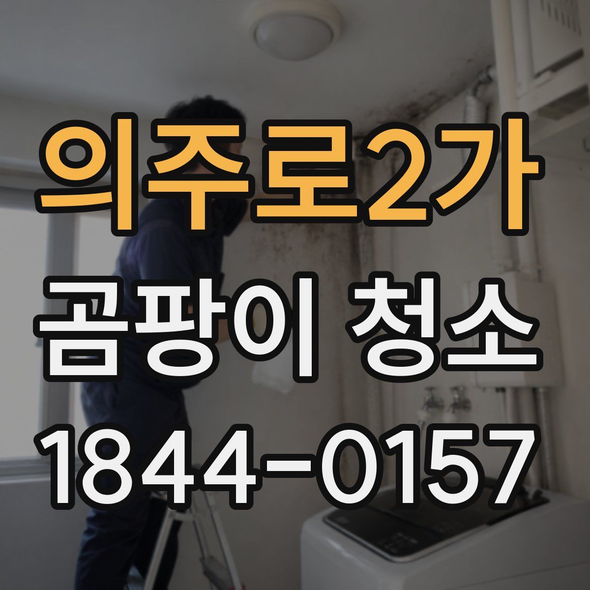 의주로2가 곰팡이 청소