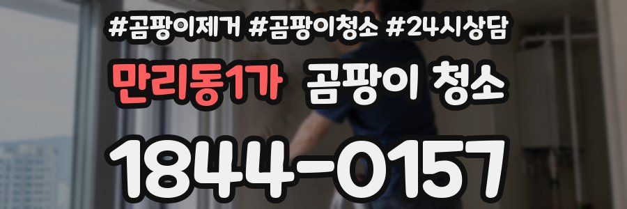 만리동1가 곰팡이 청소