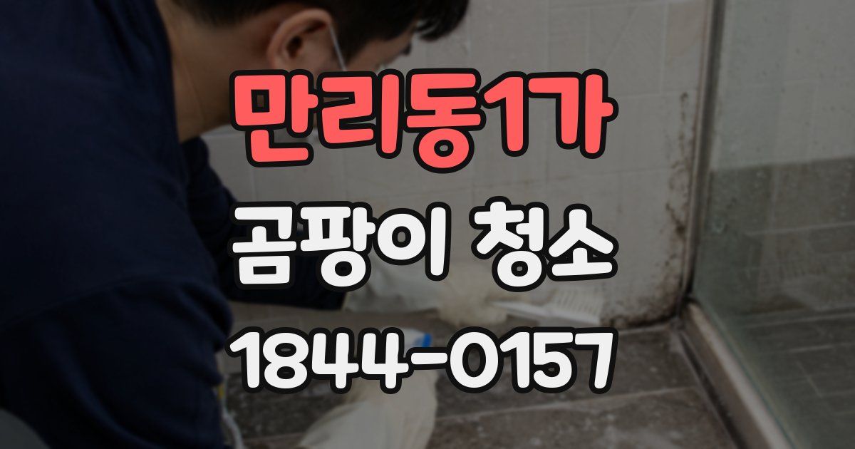 만리동1가 곰팡이 청소