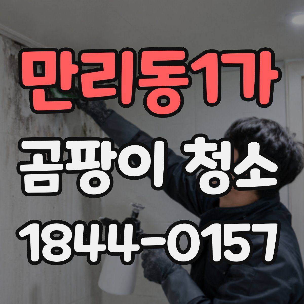 만리동1가 곰팡이 청소