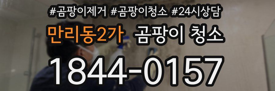 만리동2가 곰팡이 청소
