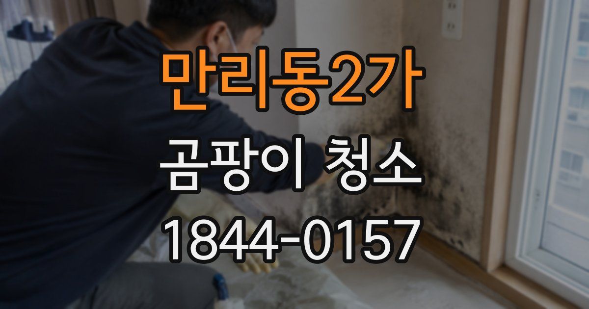 만리동2가 곰팡이 청소