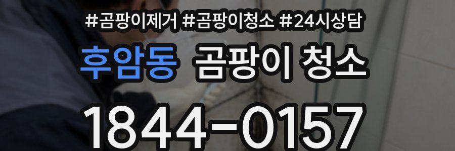 후암동 곰팡이 청소