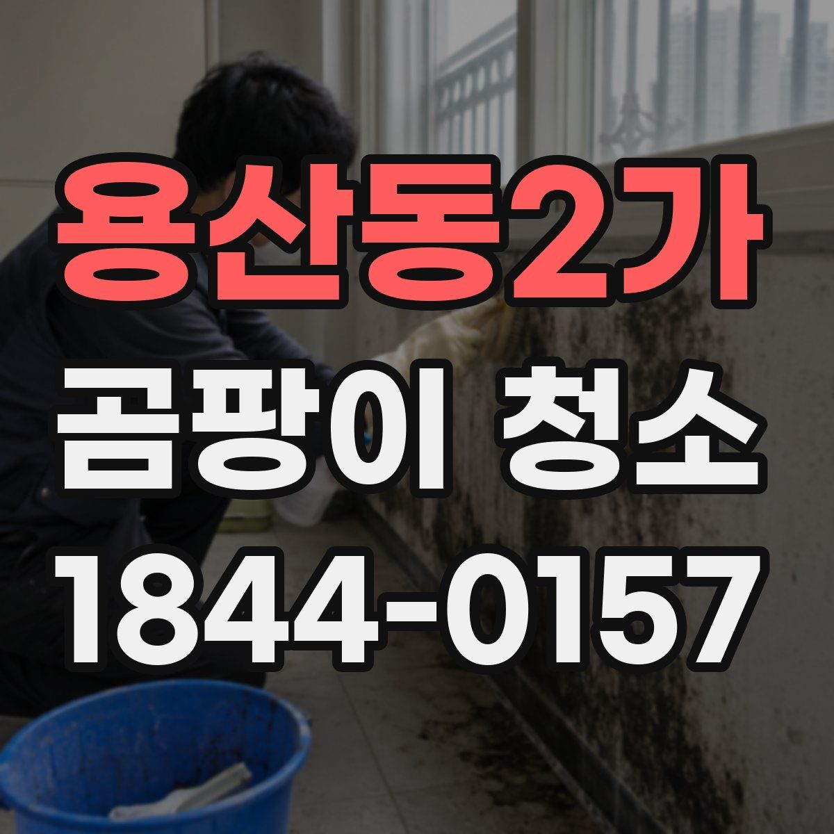 용산동2가 곰팡이 청소